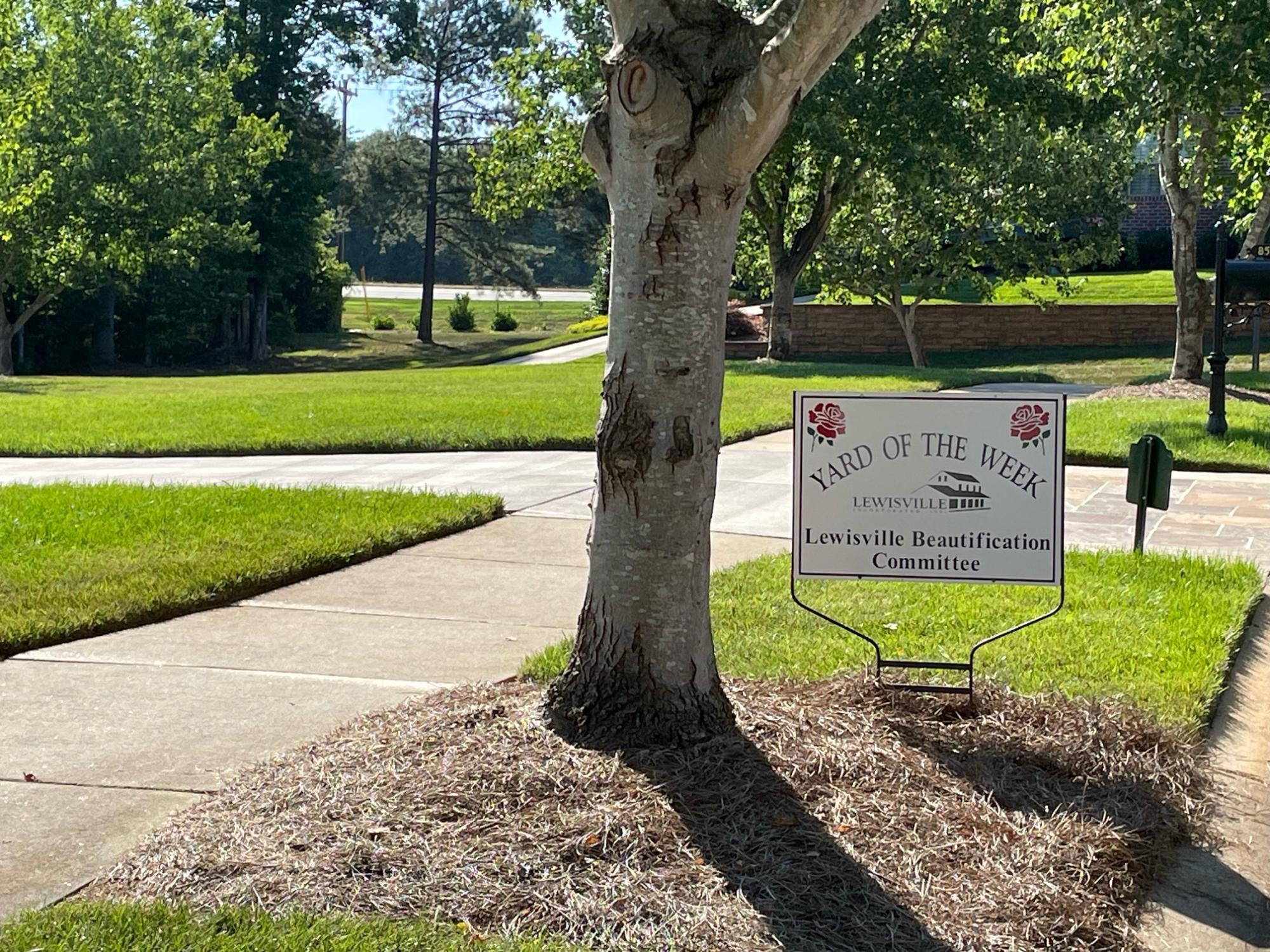 Yard of the Week sign in manicured lawn